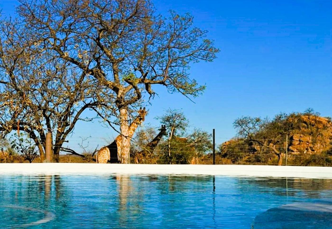 Ngalali Retreat Hotel Grietjie Wildreservaat Buitenkant foto
