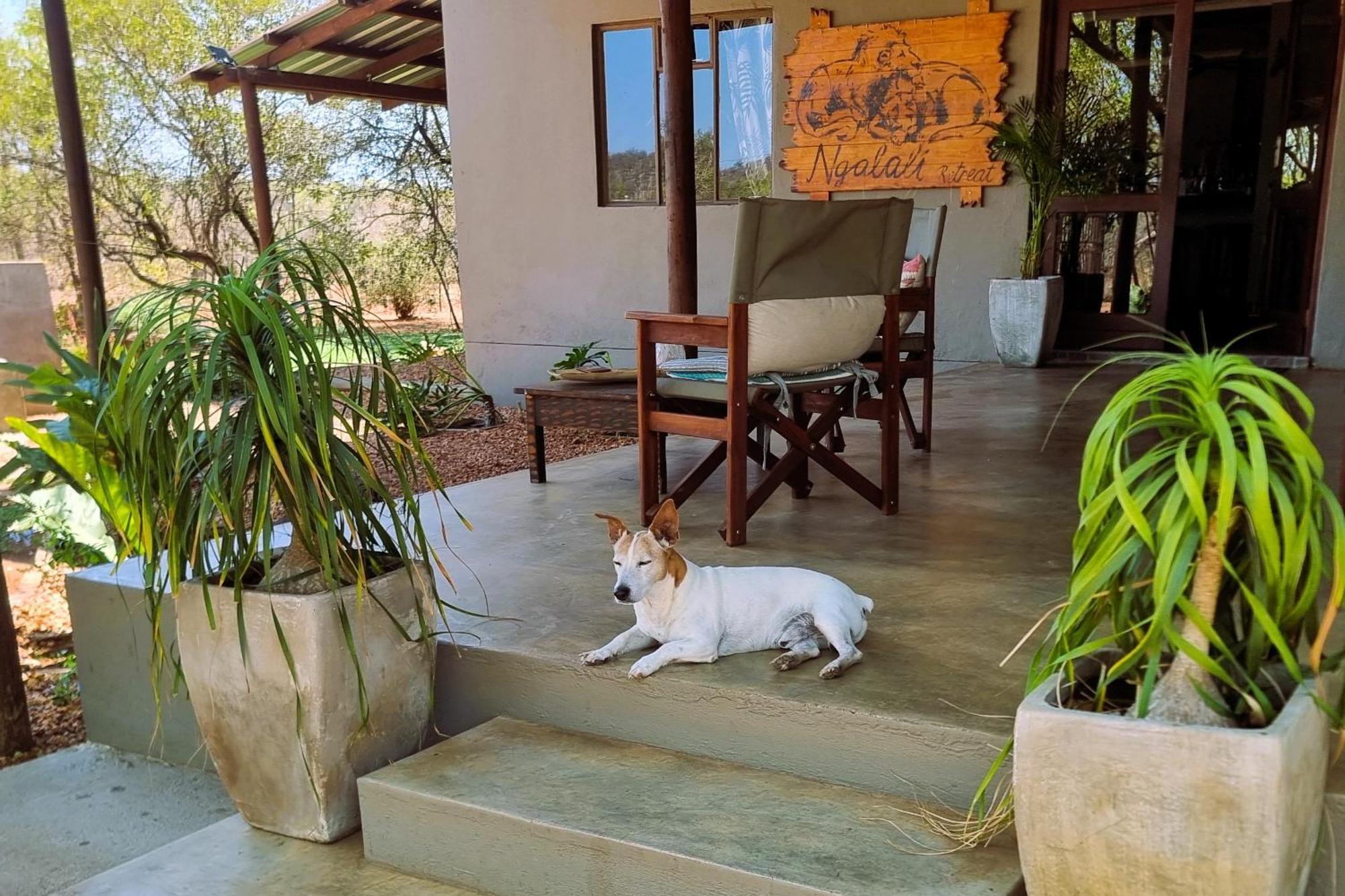 Ngalali Retreat Hotel Grietjie Wildreservaat Buitenkant foto